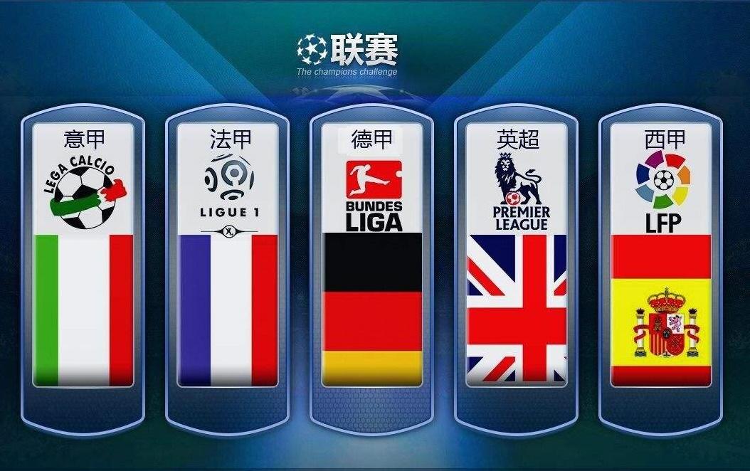 的组织和传