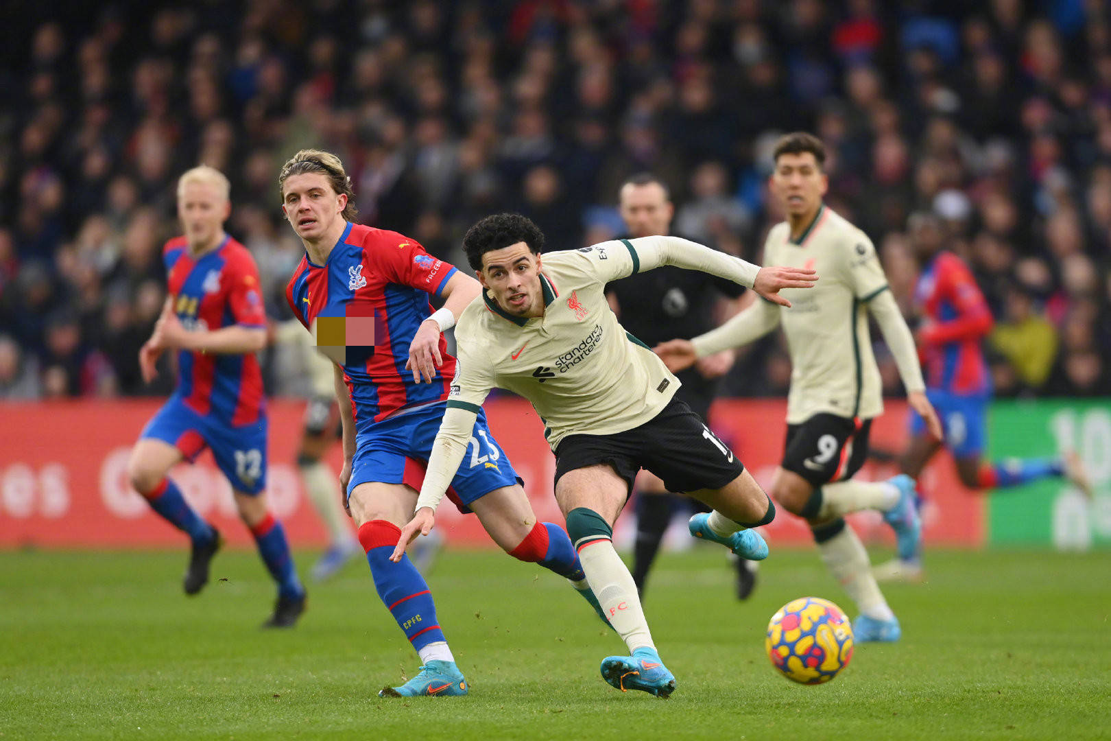 别注重球迷 别注重球迷