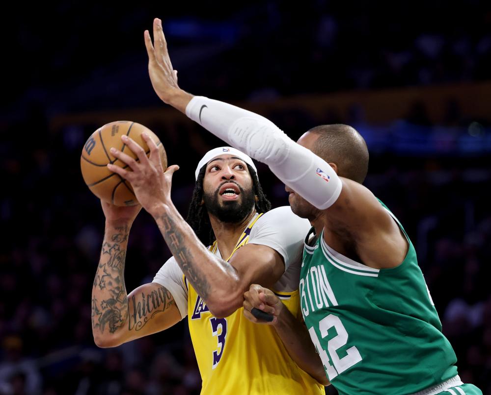 自领域内的 自领域内的