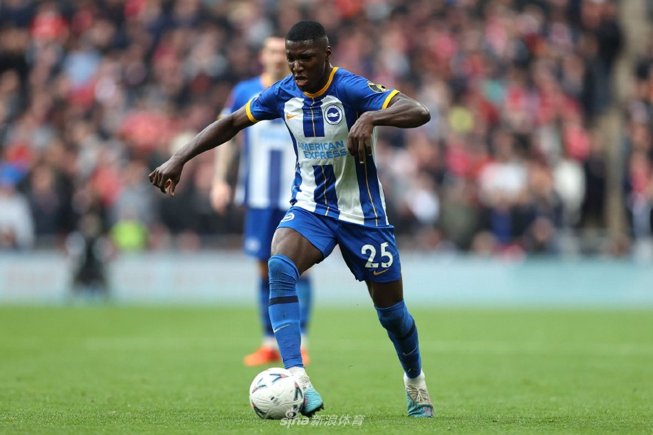 系和顽强的 系和顽强的